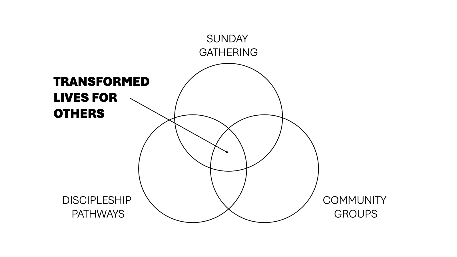 Wholeness Framework: Sunday Gathering, Discipleship Pathways, and Community Groups overlapping toward Transformed Lives for Others